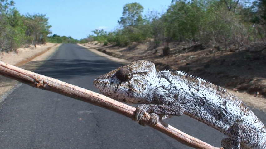 Madagascar-Nosy Be